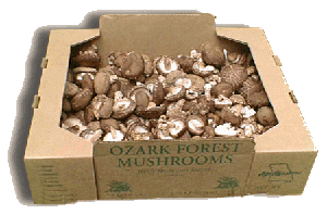 Shiitake tray