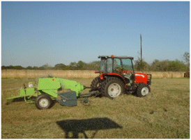 Baled Pine Straw